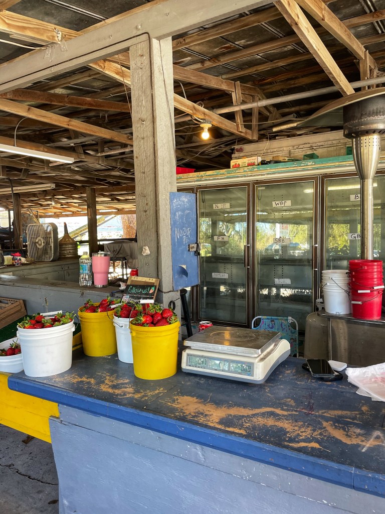 Weigh station and check out