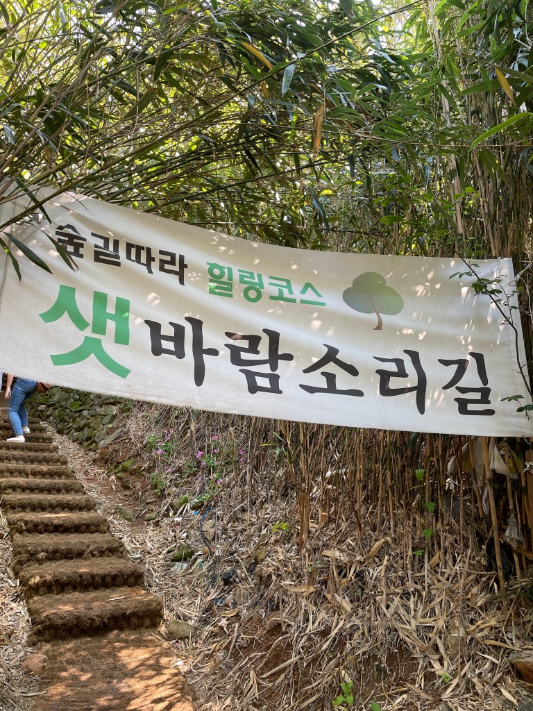 Path to Gujora Fortress