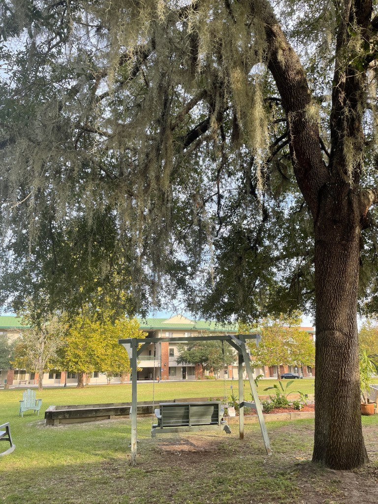 Beautiful outdoor area