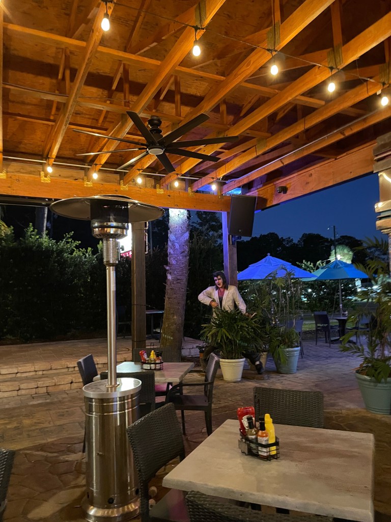 Night view with Elvis!